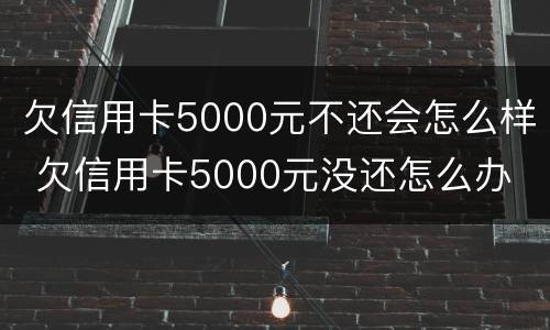 欠信用卡5000元不还会怎么样 欠信用卡5000元没还怎么办