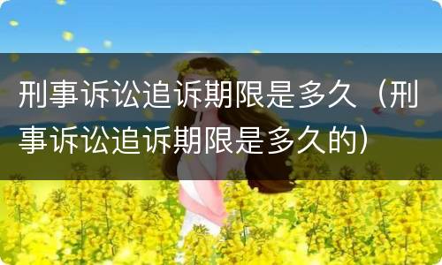 刑事诉讼追诉期限是多久（刑事诉讼追诉期限是多久的）