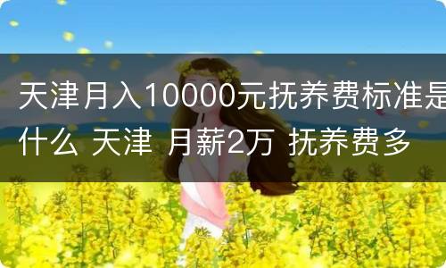 天津月入10000元抚养费标准是什么 天津 月薪2万 抚养费多少钱