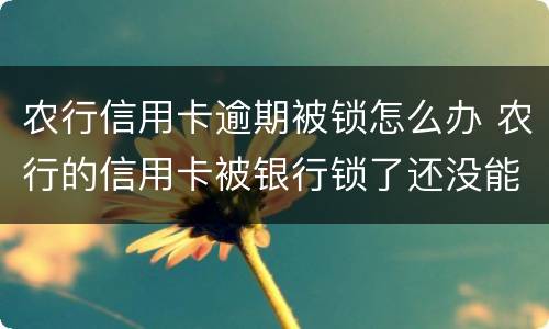 农行信用卡逾期被锁怎么办 农行的信用卡被银行锁了还没能用吗