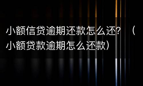 小额信贷逾期还款怎么还？（小额贷款逾期怎么还款）