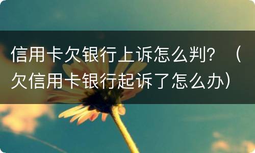 信用卡欠银行上诉怎么判？（欠信用卡银行起诉了怎么办）