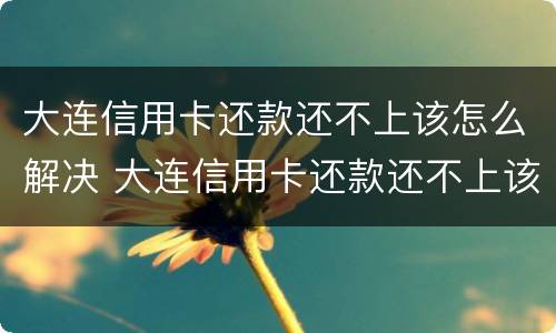 大连信用卡还款还不上该怎么解决 大连信用卡还款还不上该怎么解决呢