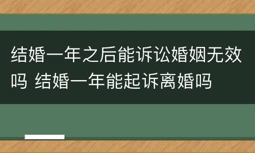 结婚一年之后能诉讼婚姻无效吗 结婚一年能起诉离婚吗