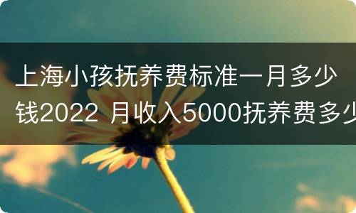 上海小孩抚养费标准一月多少钱2022 月收入5000抚养费多少