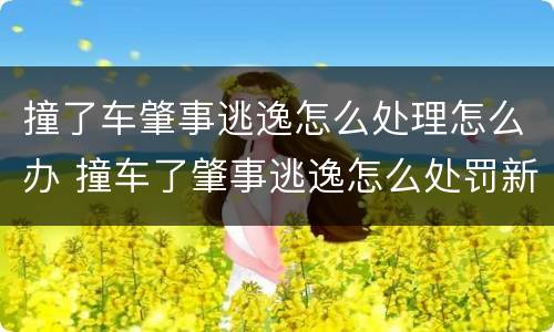 撞了车肇事逃逸怎么处理怎么办 撞车了肇事逃逸怎么处罚新交规