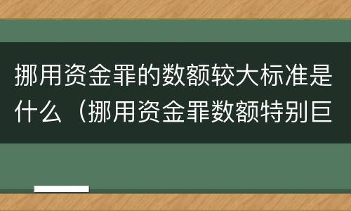 挪用资金罪的数额较大标准是什么（挪用资金罪数额特别巨大的标准）