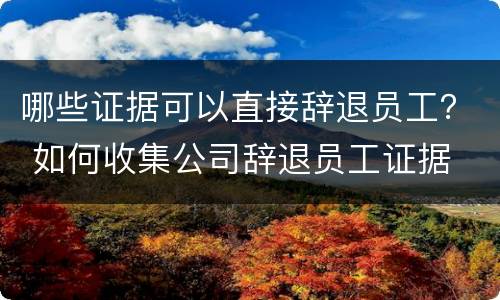 哪些证据可以直接辞退员工？ 如何收集公司辞退员工证据