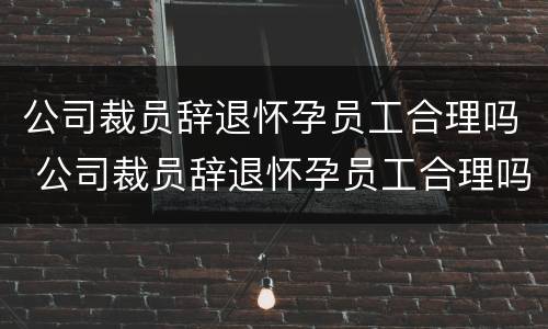 公司裁员辞退怀孕员工合理吗 公司裁员辞退怀孕员工合理吗知乎