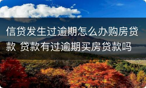 信贷发生过逾期怎么办购房贷款 贷款有过逾期买房贷款吗