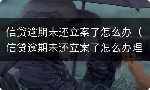 信贷逾期未还立案了怎么办（信贷逾期未还立案了怎么办理）