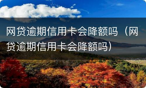 网贷逾期信用卡会降额吗（网贷逾期信用卡会降额吗）
