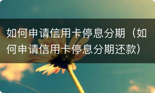 如何申请信用卡停息分期（如何申请信用卡停息分期还款）