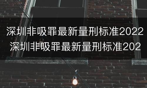 深圳非吸罪最新量刑标准2022 深圳非吸罪最新量刑标准2022公布
