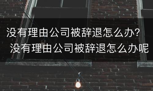 没有理由公司被辞退怎么办？ 没有理由公司被辞退怎么办呢