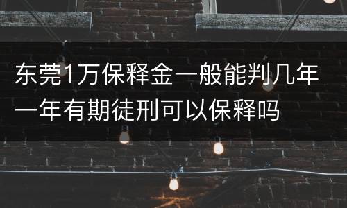 东莞1万保释金一般能判几年 一年有期徒刑可以保释吗