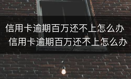 信用卡逾期百万还不上怎么办 信用卡逾期百万还不上怎么办呢