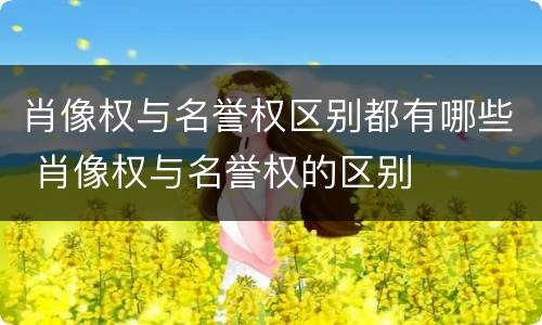 肖像权与名誉权区别都有哪些 肖像权与名誉权的区别