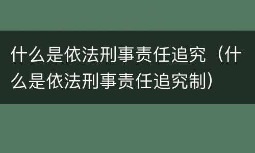 什么是依法刑事责任追究（什么是依法刑事责任追究制）