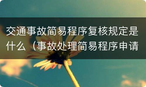 交通事故简易程序复核规定是什么（事故处理简易程序申请复议）