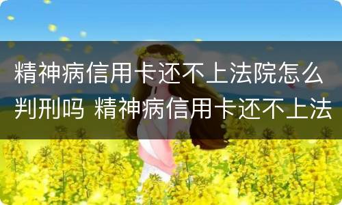 精神病信用卡还不上法院怎么判刑吗 精神病信用卡还不上法院会怎么判