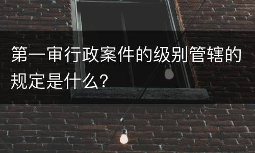 第一审行政案件的级别管辖的规定是什么？