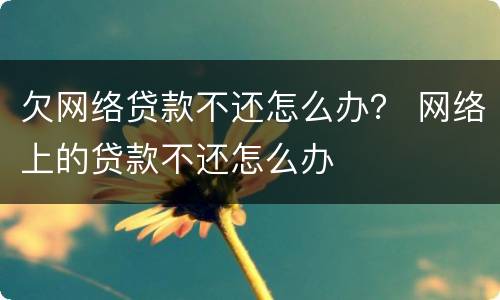 欠网络贷款不还怎么办？ 网络上的贷款不还怎么办