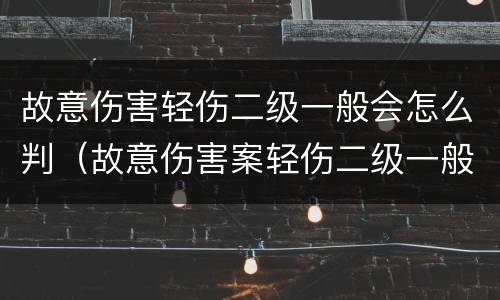 故意伤害轻伤二级一般会怎么判（故意伤害案轻伤二级一般怎么判）