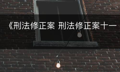 《刑法修正案 刑法修正案十一