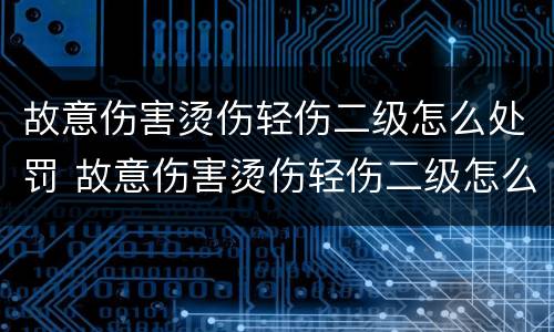 故意伤害烫伤轻伤二级怎么处罚 故意伤害烫伤轻伤二级怎么处罚的