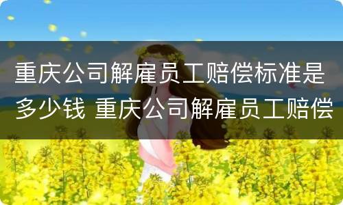 重庆公司解雇员工赔偿标准是多少钱 重庆公司解雇员工赔偿标准是多少钱一个月