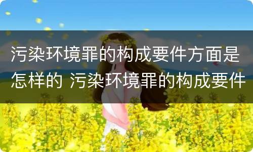污染环境罪的构成要件方面是怎样的 污染环境罪的构成要件方面是怎样的问题