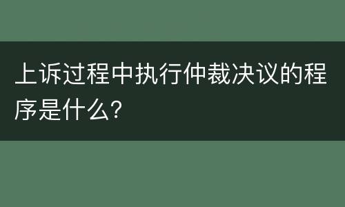 上诉过程中执行仲裁决议的程序是什么？