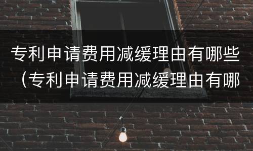 专利申请费用减缓理由有哪些（专利申请费用减缓理由有哪些内容）