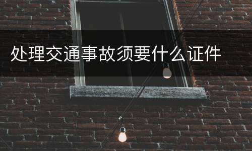 处理交通事故须要什么证件