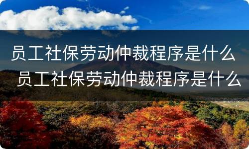 员工社保劳动仲裁程序是什么 员工社保劳动仲裁程序是什么意思