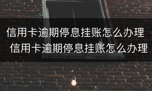 信用卡逾期停息挂账怎么办理 信用卡逾期停息挂账怎么办理的