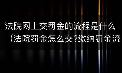 法院网上交罚金的流程是什么（法院罚金怎么交?缴纳罚金流程是怎样的）