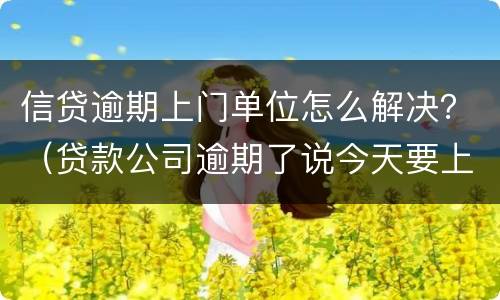 信贷逾期上门单位怎么解决？（贷款公司逾期了说今天要上门）