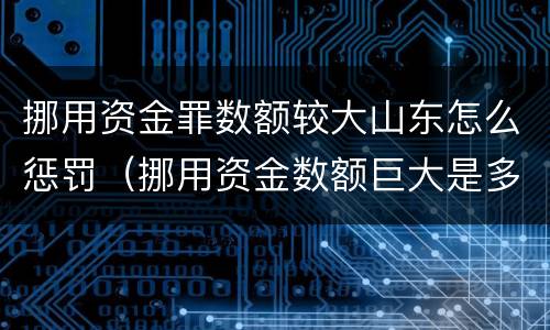 挪用资金罪数额较大山东怎么惩罚（挪用资金数额巨大是多少）