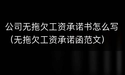 公司无拖欠工资承诺书怎么写（无拖欠工资承诺函范文）