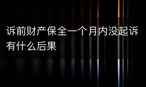 诉前财产保全一个月内没起诉有什么后果