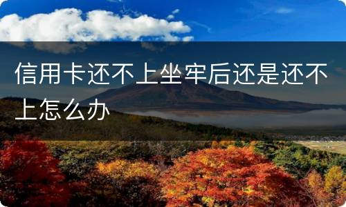 信用卡还不上坐牢后还是还不上怎么办