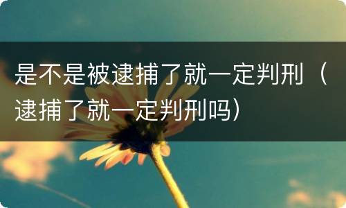 是不是被逮捕了就一定判刑（逮捕了就一定判刑吗）