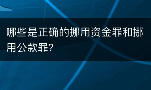 哪些是正确的挪用资金罪和挪用公款罪？