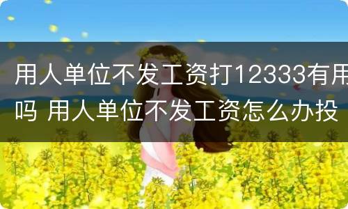用人单位不发工资打12333有用吗 用人单位不发工资怎么办投诉打什么电话