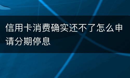 信用卡消费确实还不了怎么申请分期停息