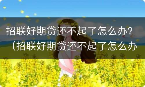 招联好期贷还不起了怎么办？（招联好期贷还不起了怎么办）