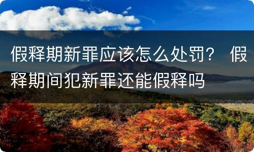假释期新罪应该怎么处罚？ 假释期间犯新罪还能假释吗