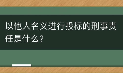 以他人名义进行投标的刑事责任是什么？